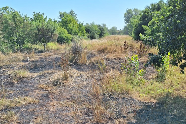 Slika /PU_ZG/ilustracije/požar suhe trave 2.jpg